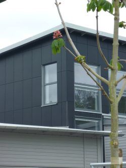 Sort fibercement til alle
