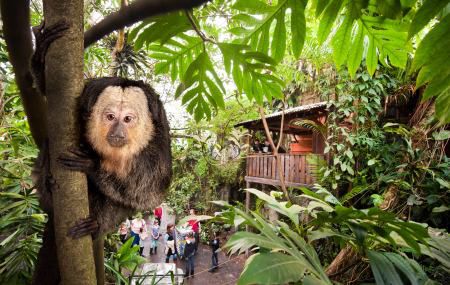 Verdens største zoo i Randers