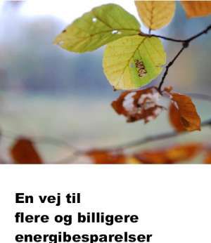 Energisparepolitik på lavt blus