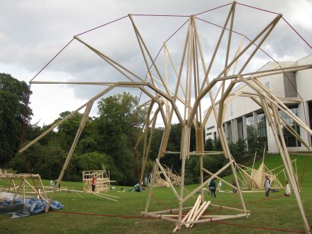 Træfestival i fuld gang