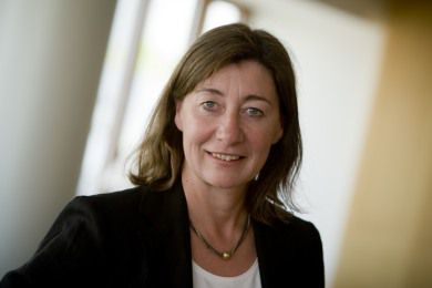 DI Byggematerialer får ny direktør
