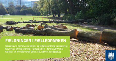 Fældninger i Fælledparken