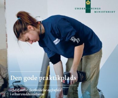 Hvad er en god praktikplads?